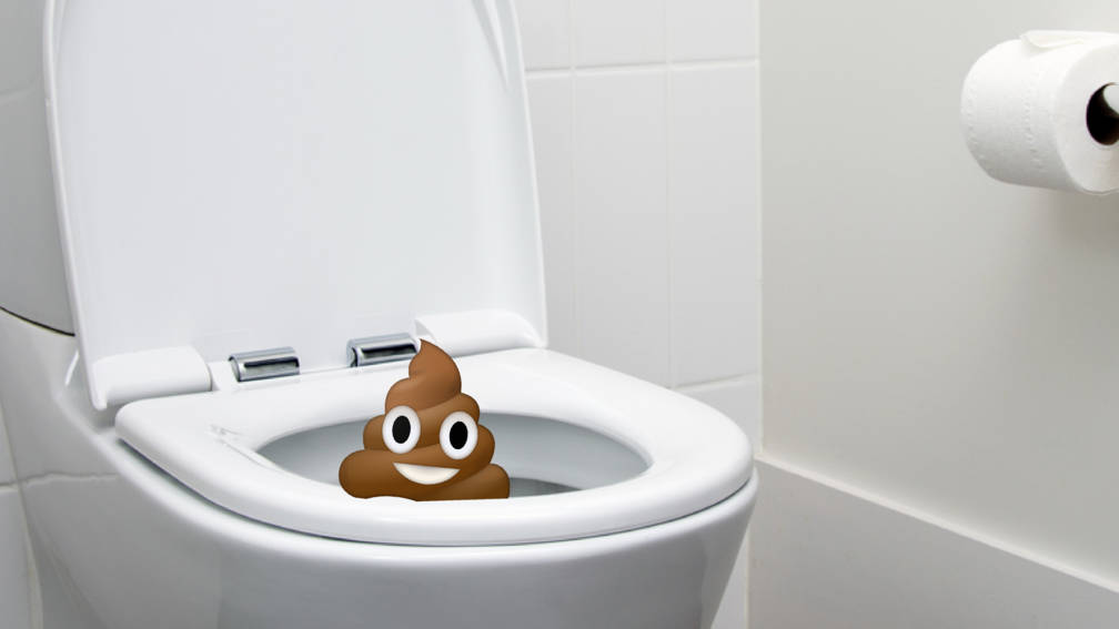 Afbeeldingsresultaat voor drollen in de wc