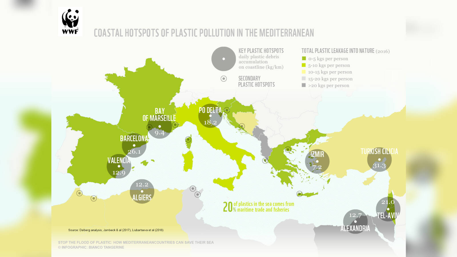 Plastic pollution in the Mediterranean